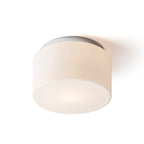 ARANA R 27 de tavan  sticlă opal/crom 230V LED E27 15W IP44