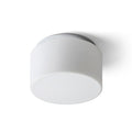 ARANA R 27 de tavan  sticlă opal/crom 230V LED E27 15W IP44