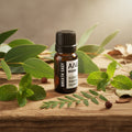 Breath Easy Essential Oil Blend - Boxed - 10ml AW Dropship Europe