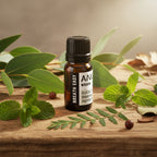 Breath Easy Essential Oil Blend - Boxed - 10ml AW Dropship Europe