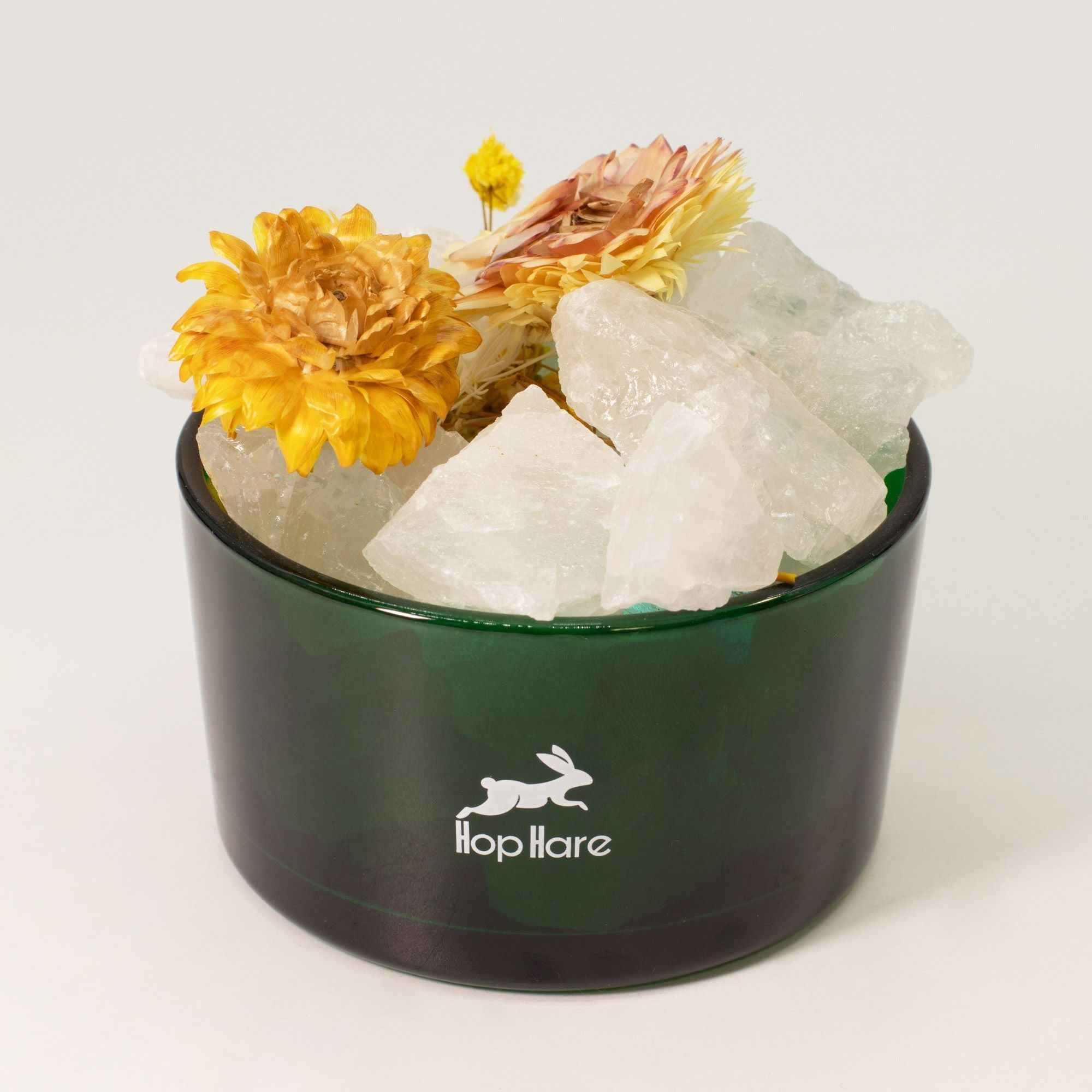 Hop Hare Set Cristale Difuzoare & Flori - The Lion